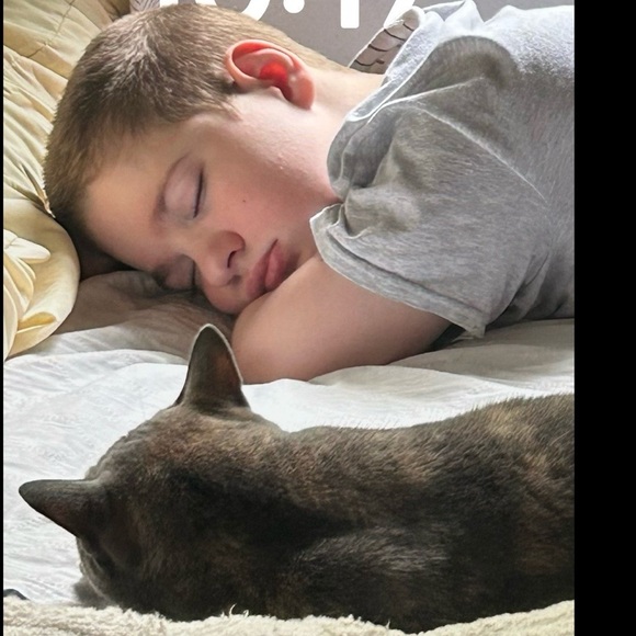 🐠 Chartreuse Pirhana 🐠 - Picture 11 of 16